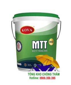 Kova MTT - Gold Matit trong nhà