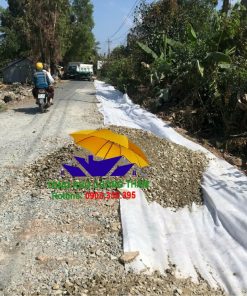 Hình ảnh thực tế