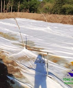 Biện pháp thi công vải địa