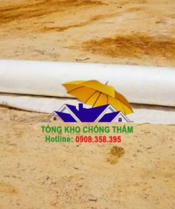 Hình ảnh về vải địa