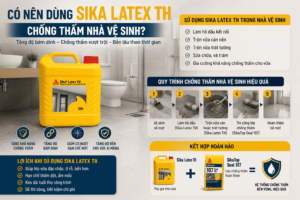 Có nên dùng Sika Latex TH chống thấm nhà vệ sinh? Chuyên gia giải đáp từ A-Z